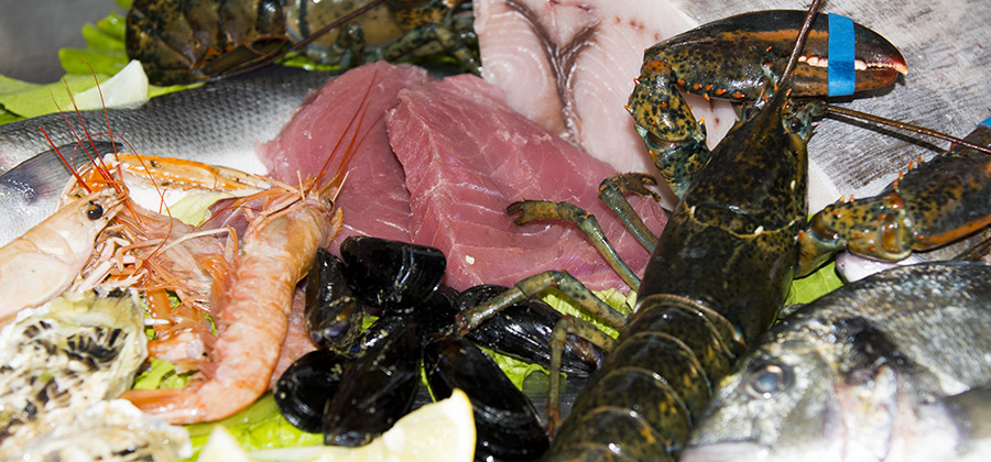 Pesce